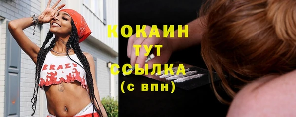 шишки Киренск