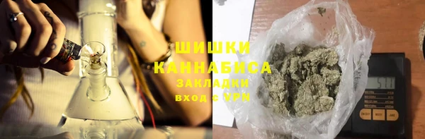 шишки Киренск