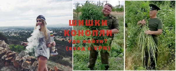 шишки Киренск