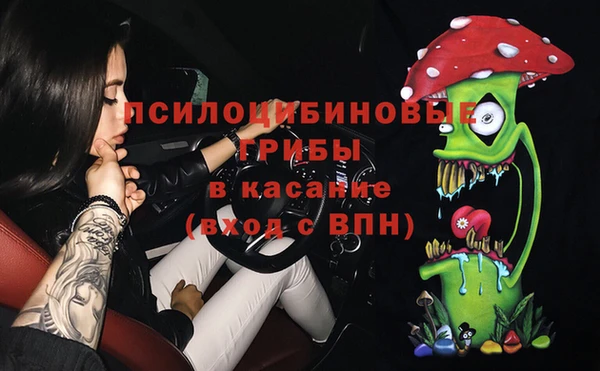шишки Киренск
